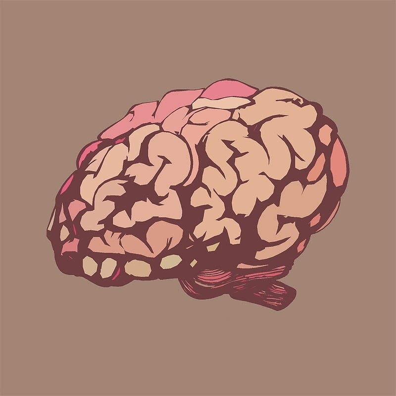 Brain and Mind